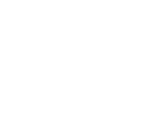 Shazeen Salon — Beauty • Bridal • Wellness
